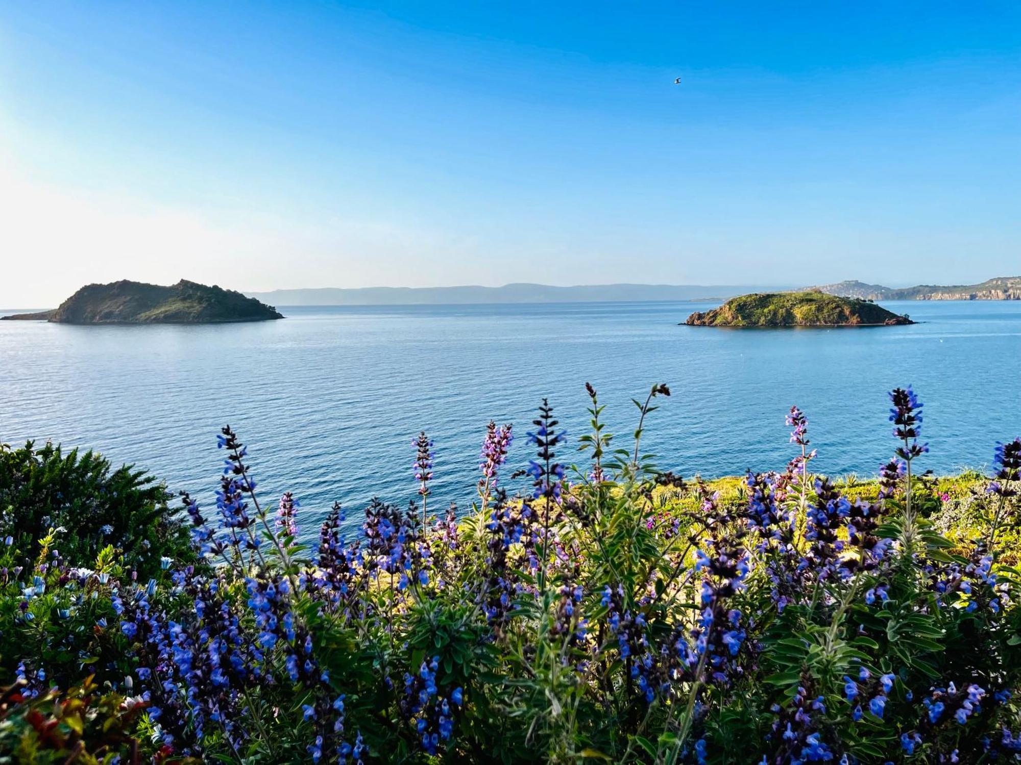Eleia Seafront Rooms & Villas Petra  Bagian luar foto